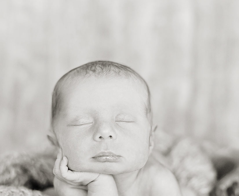 Workshop Neugeborenenfotografie mit Melanie Disbrow