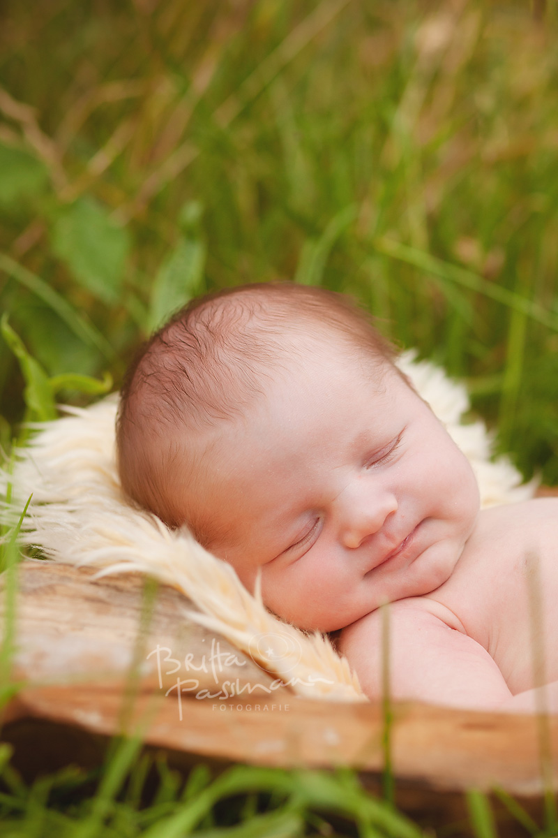brittapassmann_babyfotos dortmund_004