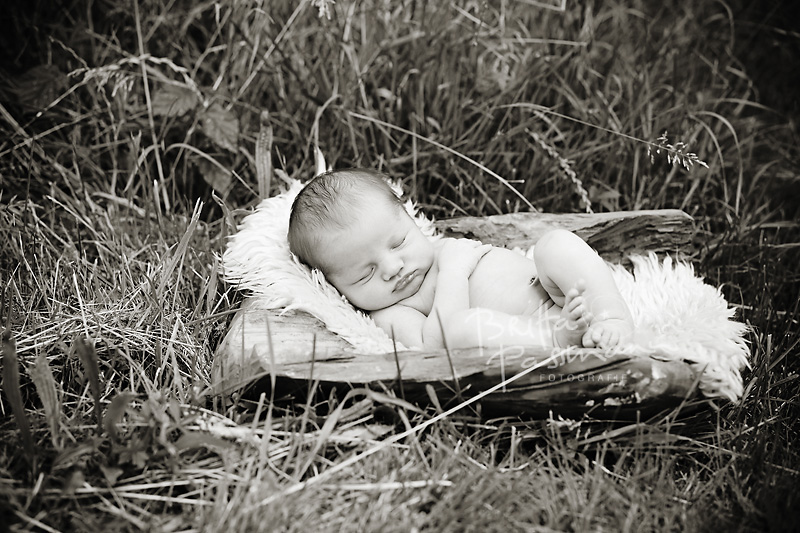 brittapassmann_babyfotos dortmund_010