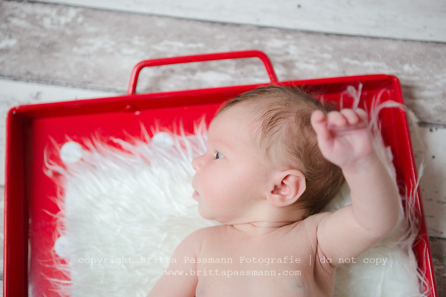 Babyfotos Dortmund_Neugeborenenfotografie_Britta Passmann03