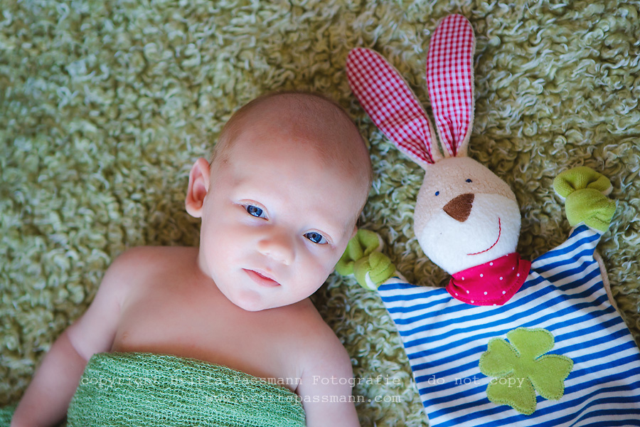 Babyfotos Senden_Babyfotos Dortmund_07