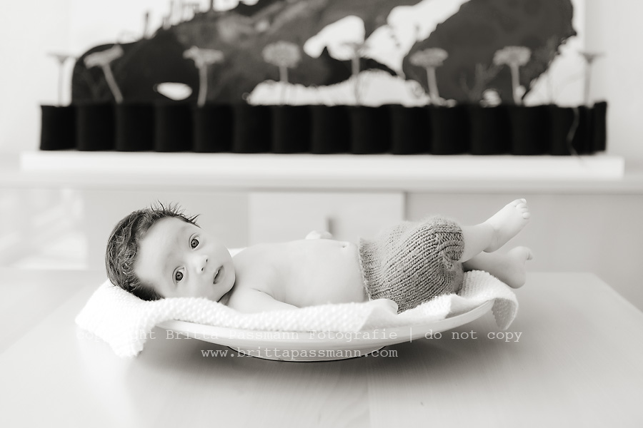 babyfotos_brittapassmann_kinderfotos420