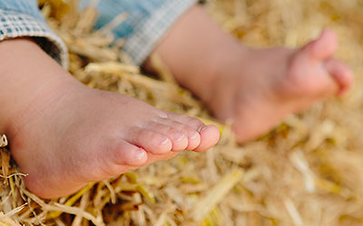 Sommerfotoaktion 2014 | Familienfotos in Schwerte, Kinderfotos auf dem Bauernhof Teil 1