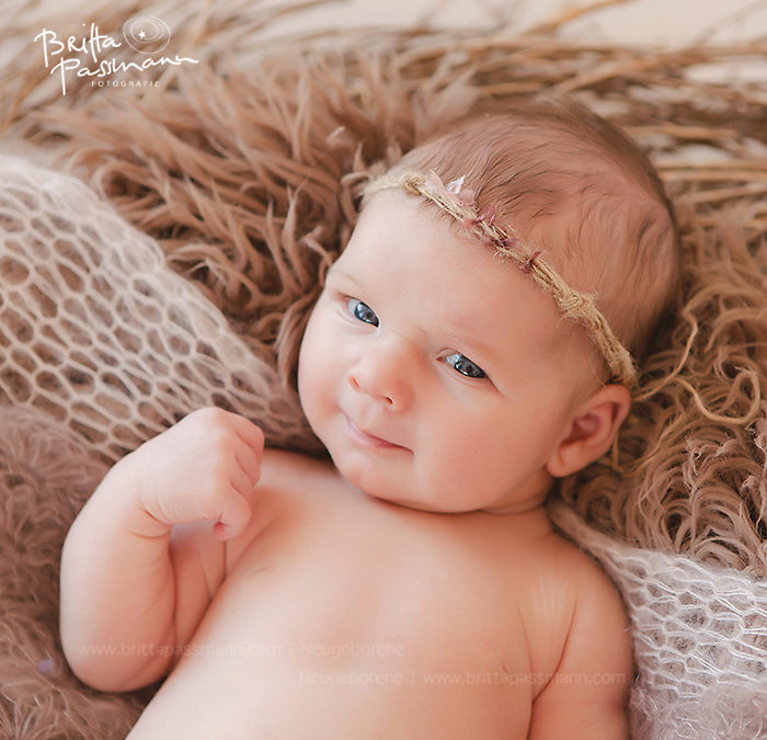 Die Siegerin des verlosten Fotoshootings | Lia 5 Wochen alt | Babyfotos in Dortmund