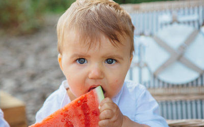 Picknick und Fotoshooting mit Wassermelonen und Cakepops