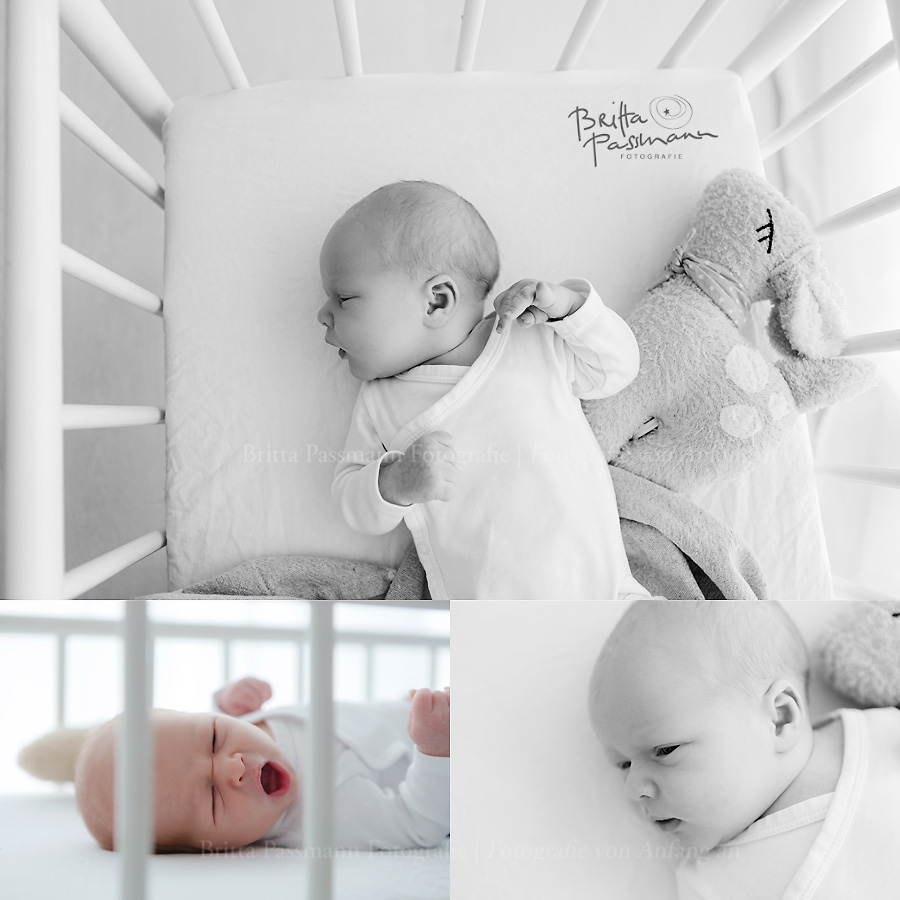authentische-Neugeborenenfotos-Dortmund-Bochum-NRW-Neuegborenenshooting-Fotostudio-Fotograf-Babyfotos