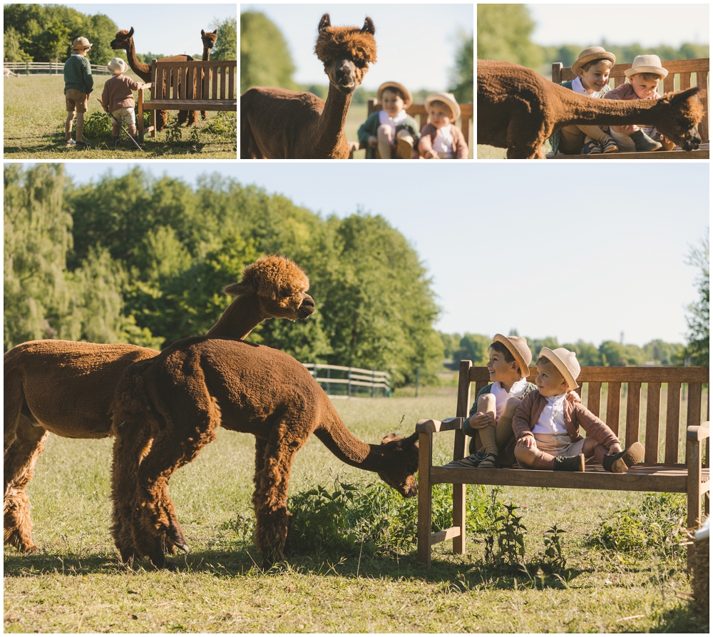 Britta-Passmann-Fotografie-Dortmund-Fotoshooting_mit_Alpakas_Borken-Alpakafarm-Familienfotos-Kinderfotos-Fotoshooting