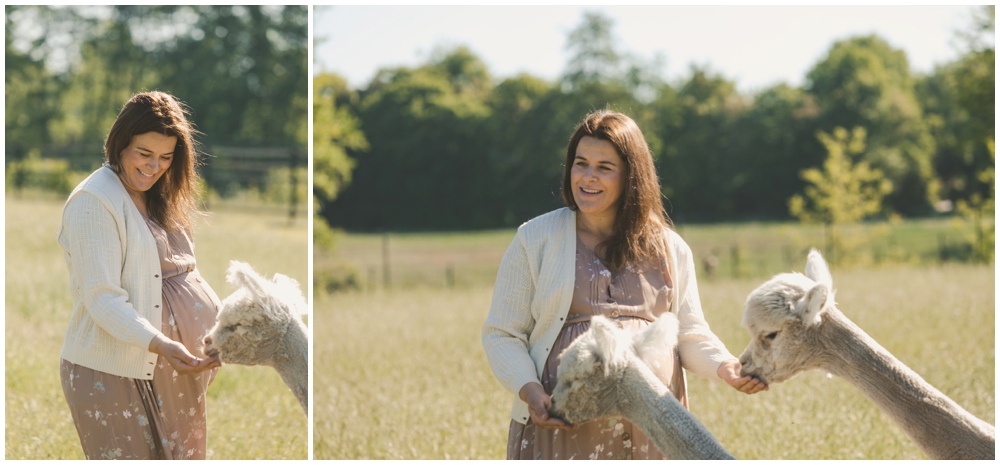 Britta-Passmann-Fotografie-Dortmund-Fotoshooting_mit_Alpakas_Borken-Alpakafarm-Familienfotos-Kinderfotos-Fotoshooting