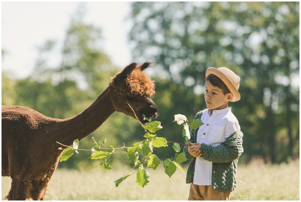 Britta-Passmann-Fotografie-Dortmund-Fotoshooting_mit_Alpakas_Borken-Alpakafarm-Familienfotos-Kinderfotos-Fotoshooting
