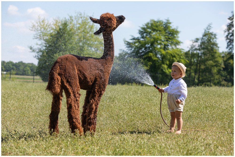 Britta-Passmann-Fotografie-Dortmund-Fotoshooting_mit_Alpakas_Borken-Alpakafarm-Familienfotos-Kinderfotos-FotoshootingBritta-Passmann-Fotografie-Dortmund-Fotoshooting_mit_Alpakas_Borken-Alpakafarm-Familienfotos-Kinderfotos-Fotoshooting