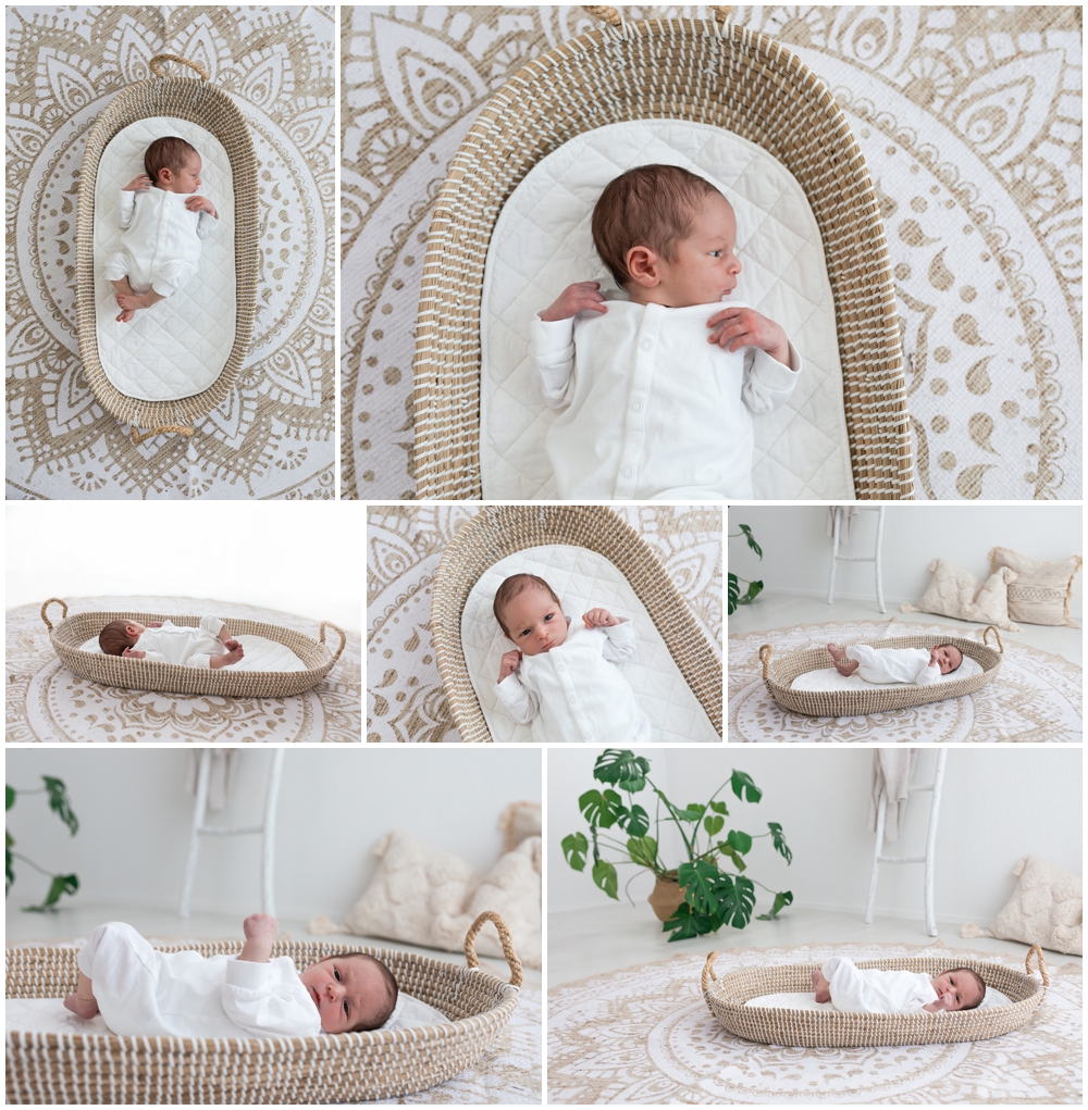 Britta-Passmann-Fotografie_Babyfotografie-Dortmund_Fotograf-Dortmund_Babyfotos-Dortmund_Neugeborenenshooting-Dortmund_Newbornshooting-Dortmund_Fotograf-in-der-Nähe_Fresh48-Shooting-Dortmund_Fresh48-Shooting_Familienfotos-Dortmund_Familienfotos_Babyfotos_Fotoshooting_Newbornshooting_Neugeborenenshooting_Kinderfotos_Kindershooting_Kinderfotos-Dortmund_Kindershooting-Dortmund_Familienshooting-Dortmund_Familienshooting_Babyfotograf-Dortmund_Babyfotograf_Fotoshooting-Ruhrgebiet_Fotoshooting-Westfalen_Fotoshooting-Sauerland-Babyfotos-Sauerland_Neugeborenenfotos-Sauerland_Familienfotos_Sauerland-Fresh48-Shooting-Sauerland_Kinderfotoshooting_Kinderfotoshooting-Dortmund_Fotostudio_Fotostudio-Dortmund